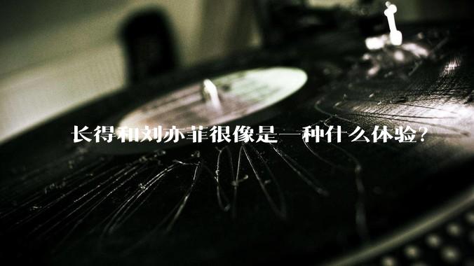 长得和刘亦菲很像是一种什么体验？