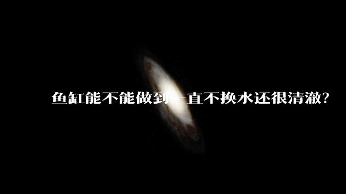 鱼缸能不能做到一直不换水还很清澈？